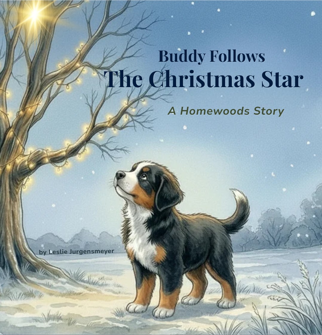 Cover of Buddy Follows the Christmas Star