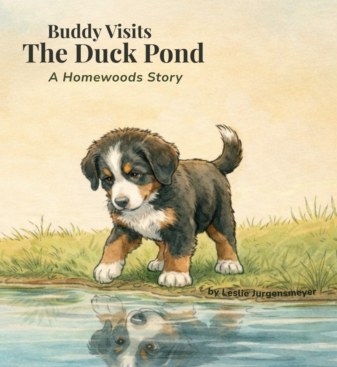Cover of Buddy Visits the Duck Pond