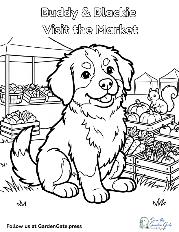 Buddy & Blackie Visit the Market