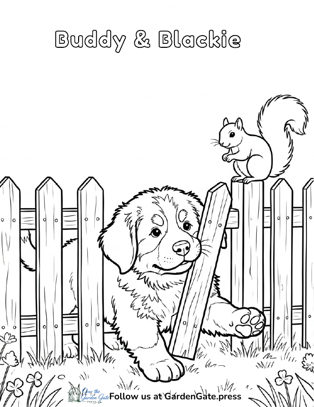 Buddy's First Adventure